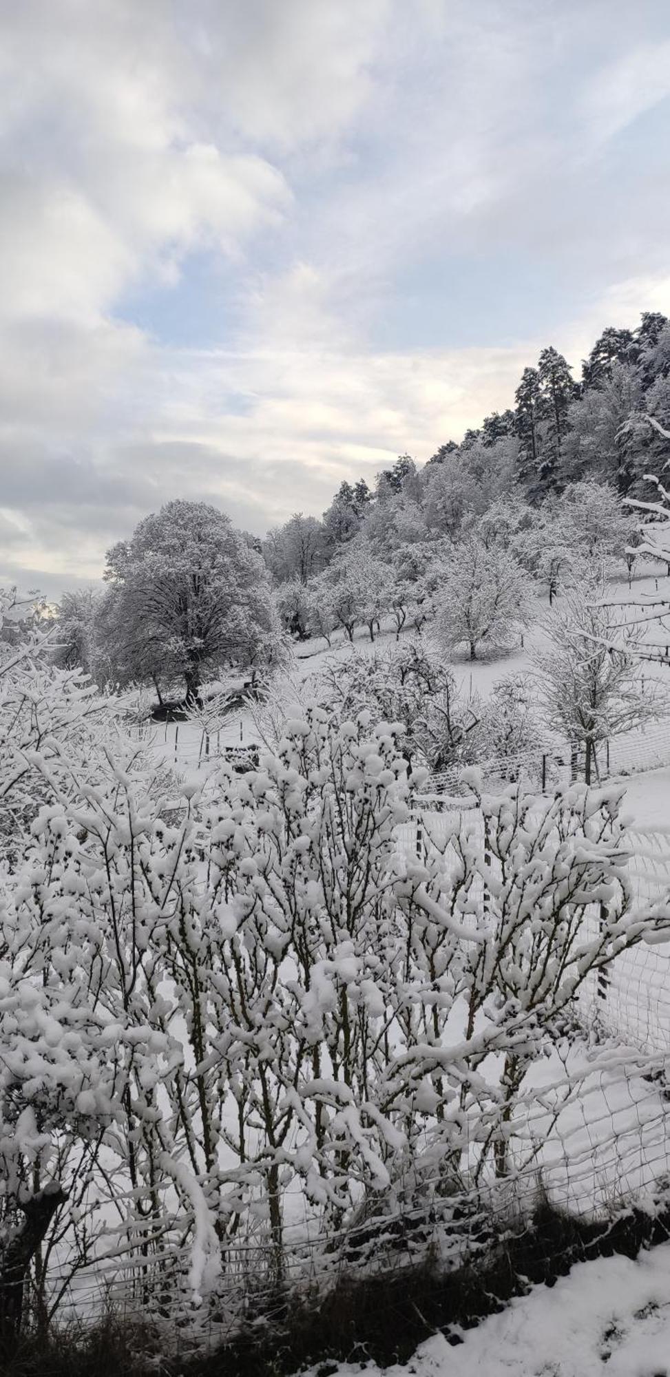 Appartement Douillet Avec Vue Sur Les Montagnes Fouchy Exteriör bild